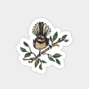 Fantail Bird Sticker